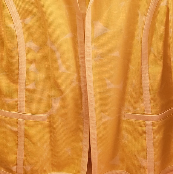 Yellow Jacket - Picture 5 of 6